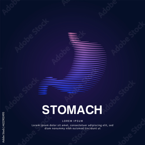 Human stomach medical structure. Vector logo stomach care color silhouette on a dark background. gastrointestinal system vector design - EPS 10