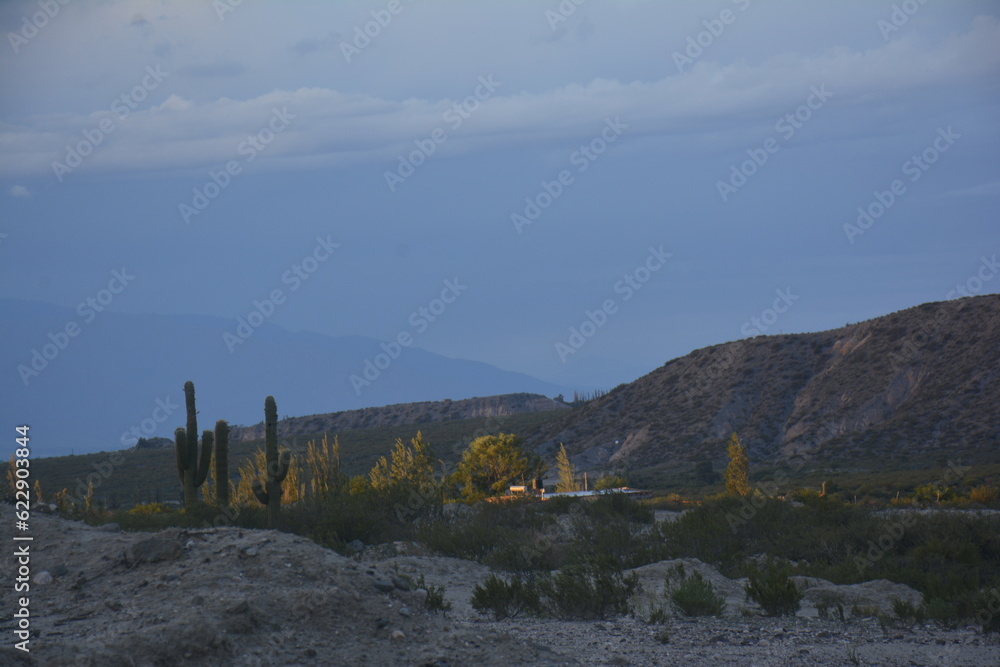 atardecer en la montaña de los valles calchaquies con cactus