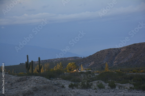 atardecer en la montaña de los valles calchaquies con cactus photo