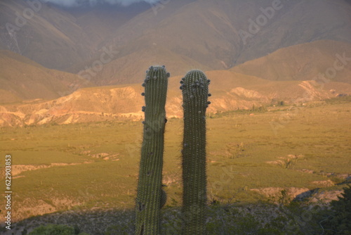 atardecer en la montaña de los valles calchaquies con cactus photo