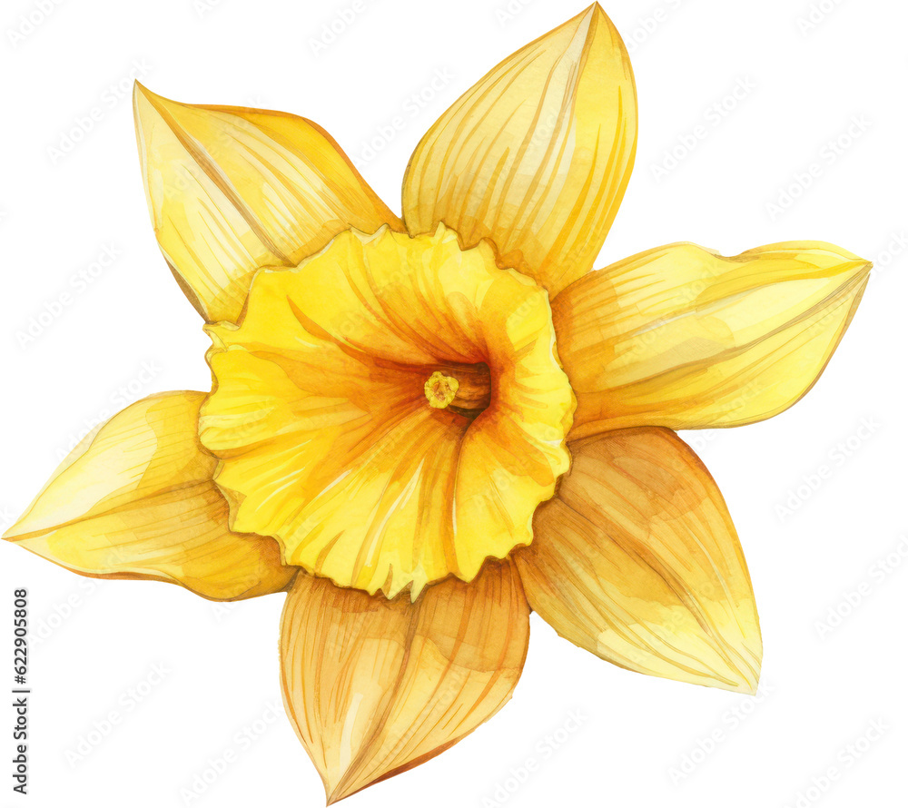 Daffodil flower watercolor illustration. Generative AI