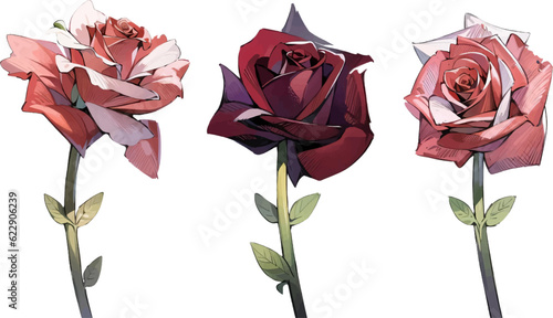 colorful flowers, can be for wedding invitations, background stickers, roses, sunflowers, lilies