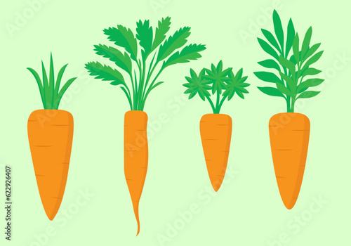 carrot and leaves icon vector illustration set, flat design