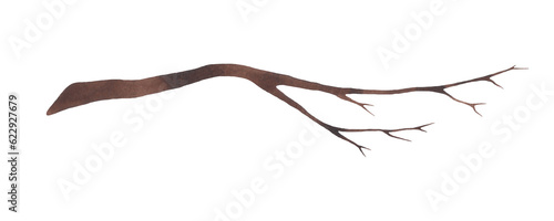 A branch from a tree, empty, bare without leaves, isolated on a white background. Drawn by hand. Element for design and decoration. Texture of watercolor on paper.
