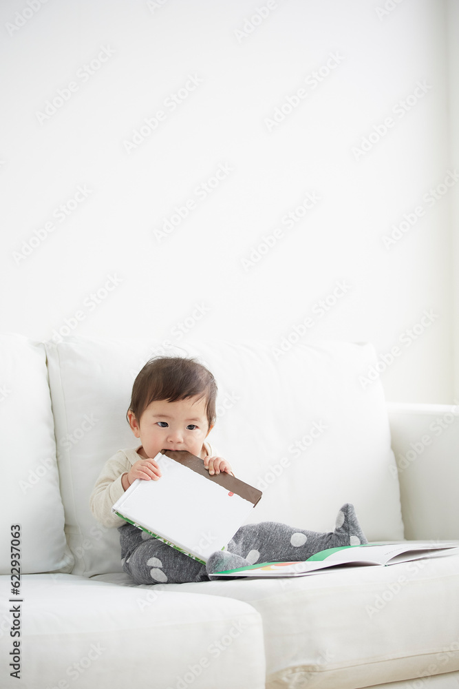 白いソファの上で絵本をくわえる赤ちゃん 白いソファの上で絵本をくわえる赤ちゃん