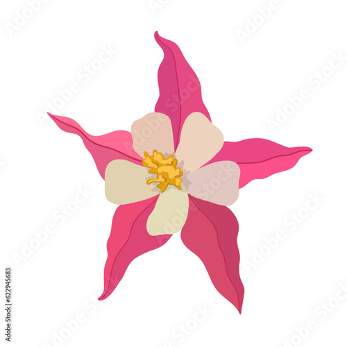 Vector illustration of aquilegia flowers of different colors Vector collection of colored aquilegia