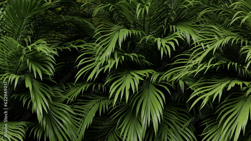 Green leaves tropical palm tree, background. Tropical jungle. 3d render