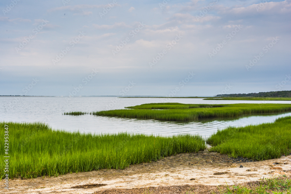 Marshland on Assateague Island in Virginia. Marshland on Assateague Island in Virginia.