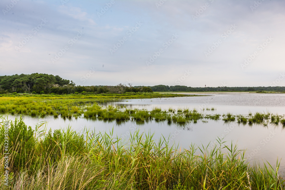 Marshland on Assateague Island in Virginia. Marshland on Assateague Island in Virginia.