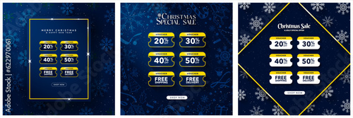 Set of Gold and Blue Online Christmas Voucher Templates for Christmas with shop now CTA button. Bundle of online coupons with price discount and free shipping delivery. Vector Illustration. EPS 10.