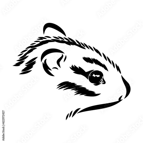 Hand drawn chipmunk. Black and white vector illustration in retro style