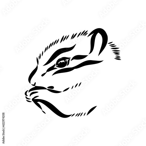 Hand drawn chipmunk. Black and white vector illustration in retro style