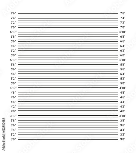 Criminal wanted picture with lines in inches. Measuring concept. Mugshot board. Police mug shot background. Wall measurements template. Lineup backdrop. Vector illustration. Identification frame