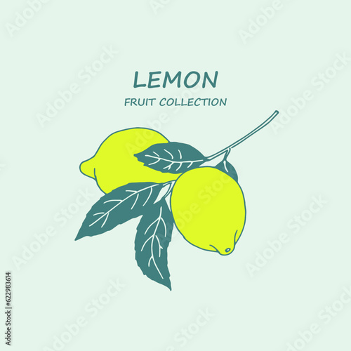 Lemon, citron, logo,lime , lemon branch , doodle ,line  art, sketch, drawing, fruit, illustration, lemons and leaves, citrus , fruits, package logo 