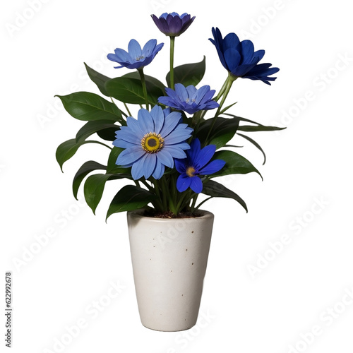 Beautiful blue flowers in a pot, isolated, transparent background