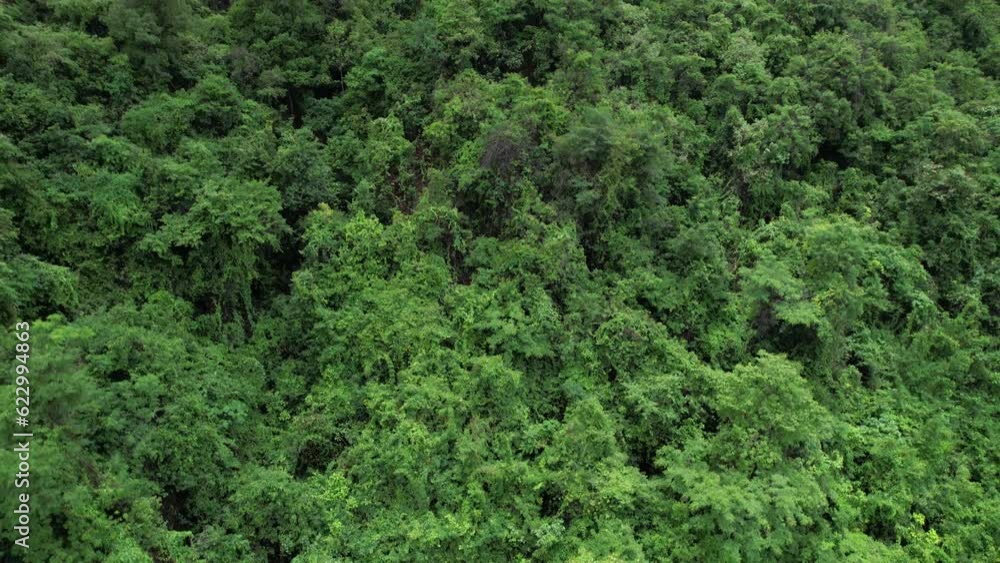 Aerial view of beautiful tropical rainforest full of large trees and covered with clouds in the rainy season of Thailand Aerial view of beautiful tropical rainforest full of large trees and covered with clouds in the rainy season of Thailand