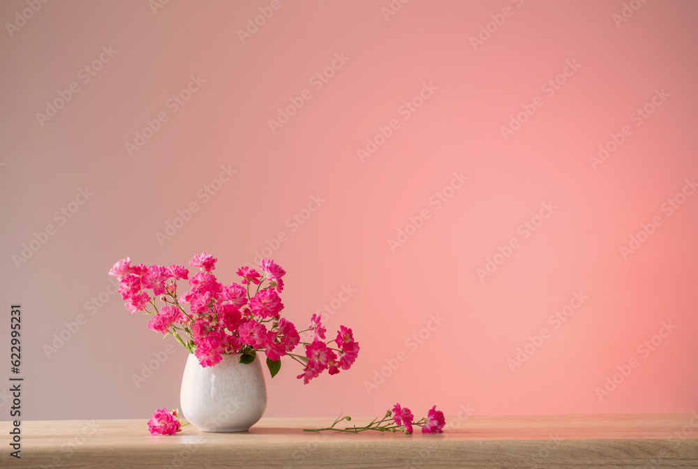 pink roses in ceramic vase on light red background
