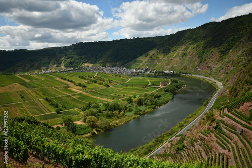 Bird's eye view of the Moselle loop surrounded by greenery and vineyards in Germany
