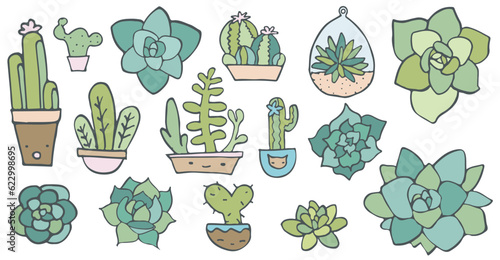 vector Doodle set of cactus plants, Aloe Arizona succulent, exotic gardening, hand drown icons isolated of white, outline Mexico cacti collection, cartoon line home plant