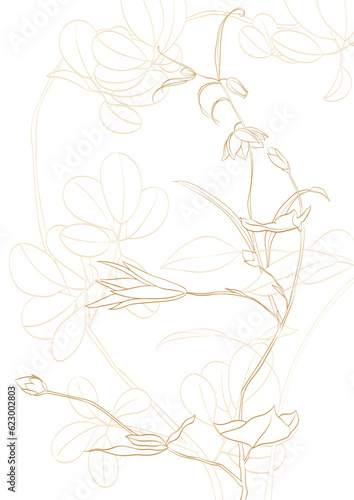 Gold Floral pattern illustration on white background. Flower elements on coloring book design. Natural vector in vintage style. Hand drawn line backgrund.