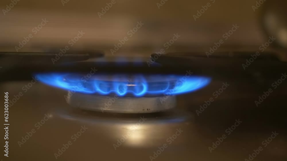Natural Gas Flame Stove Burner Natural Gas Flame Stove Burner