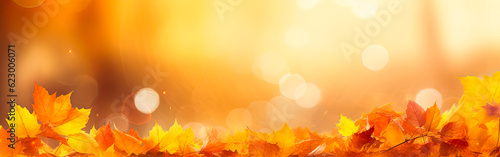Autumn banner with orange fall leaves. Nature background with copy space. Selective focus and bokeh effect.