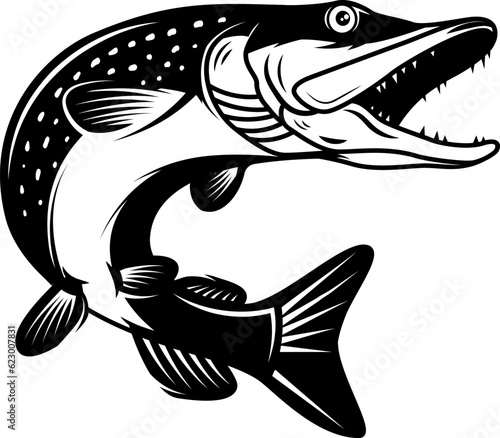 Illustration of pike fish in monochrome style. Pike fish isolated on white background