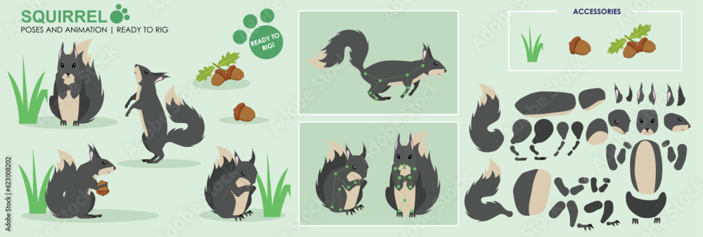 Naklejka premium Grey Squirrel ready to animate with multiple poses and angles. Cut woodland creatures rig ready, running, sitting, eating. Collection vector set character for animation