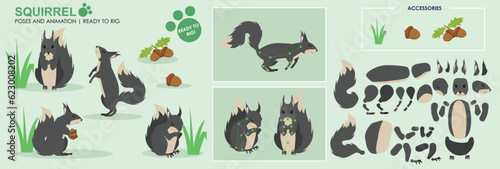 Grey Squirrel ready to animate with multiple poses and angles. Cut woodland creatures rig ready, running, sitting, eating. Collection vector set character for animation