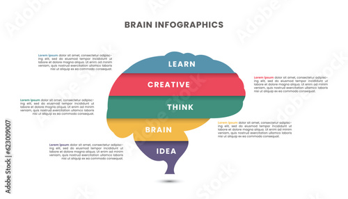 Brain Infographic template design. Five options or steps.