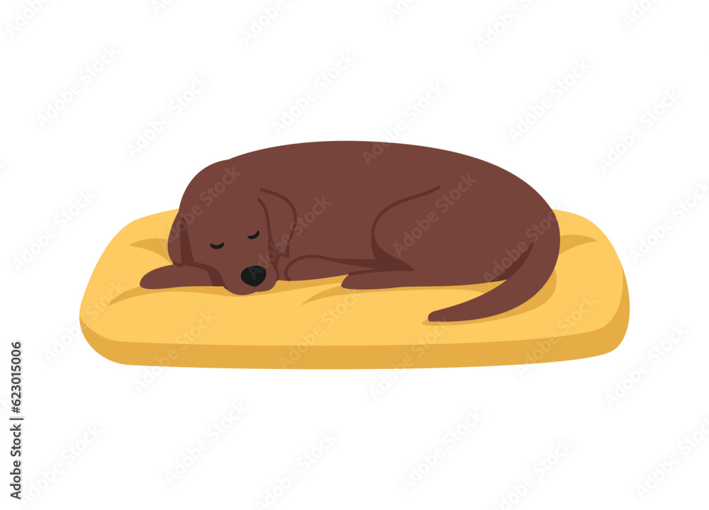 dog sleeping on dog bed