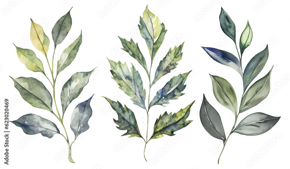 Set of botanical watercolor green leaves, branch tree detailed isolated clipart hand drawn on while background