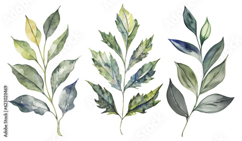 Set of botanical watercolor green leaves  branch tree detailed isolated clipart hand drawn on while background