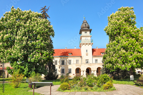 Old Town Hall in downtown of Zhovkva, Ukraine photo