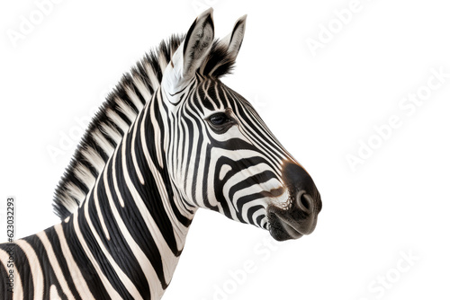 A zebra  isolated  white background  generative ai