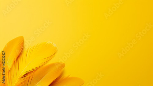 Feathers on a yellow background. Place for your text.