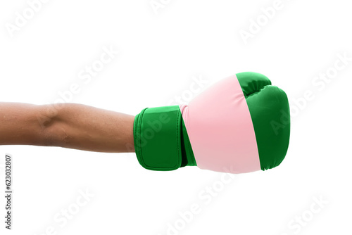 3D Flag of Nigeria on a boxing gloves.