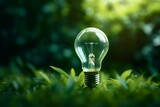 Eco-Friendly Energy Concept with Green Light Bulb