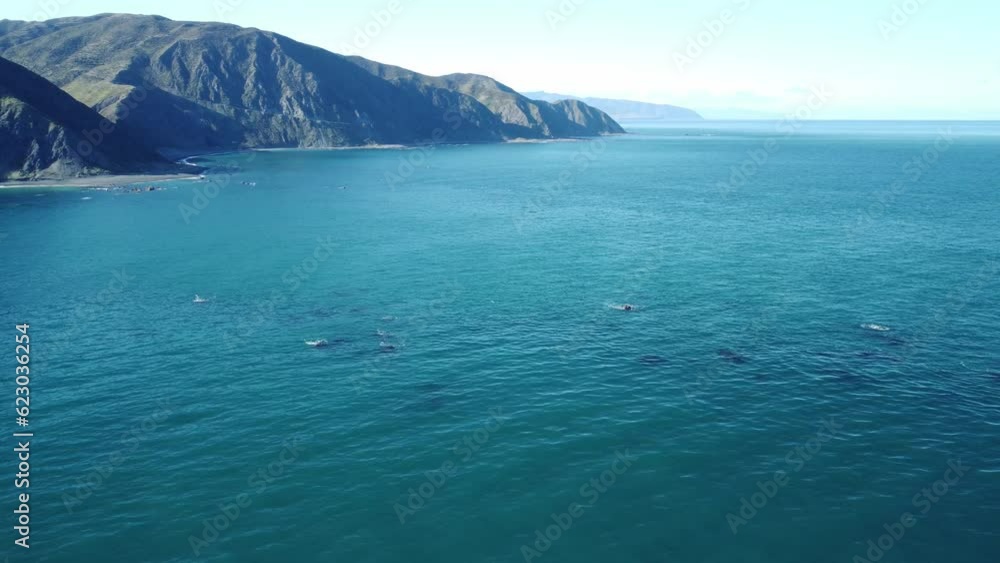 Orbiting around some submerged rocks off the Wellington South Coast, New Zealand. Orbiting around some submerged rocks off the Wellington South Coast, New Zealand.