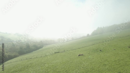 Hazy grasslands of irish clean farmland Wexford Ireland aerial  photo