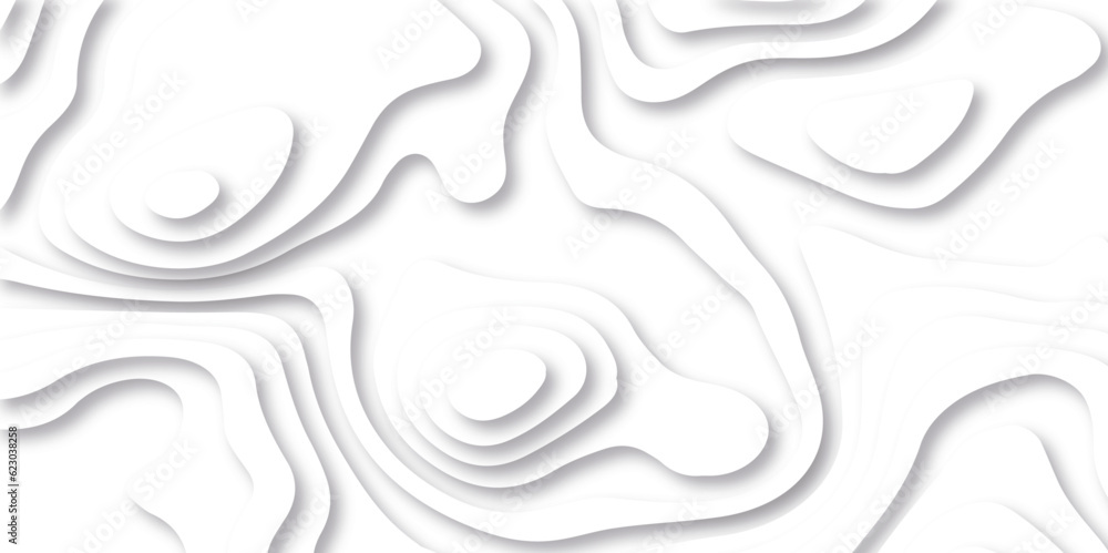 Background of the topographic map. White wave paper curved reliefs abstract background. Topographic line contour map background. Black and white topography contour lines map isolated.