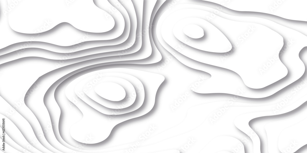 Fototapeta premium Background of the topographic map. White wave paper curved reliefs abstract background. Topographic line contour map background. Black and white topography contour lines map isolated.
