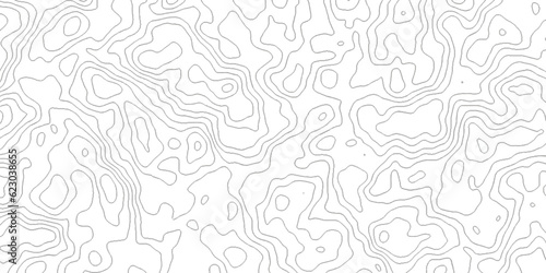 Background of the topographic map. White wave paper curved reliefs abstract background. Topographic line contour map background. Black and white topography contour lines map isolated. © armans