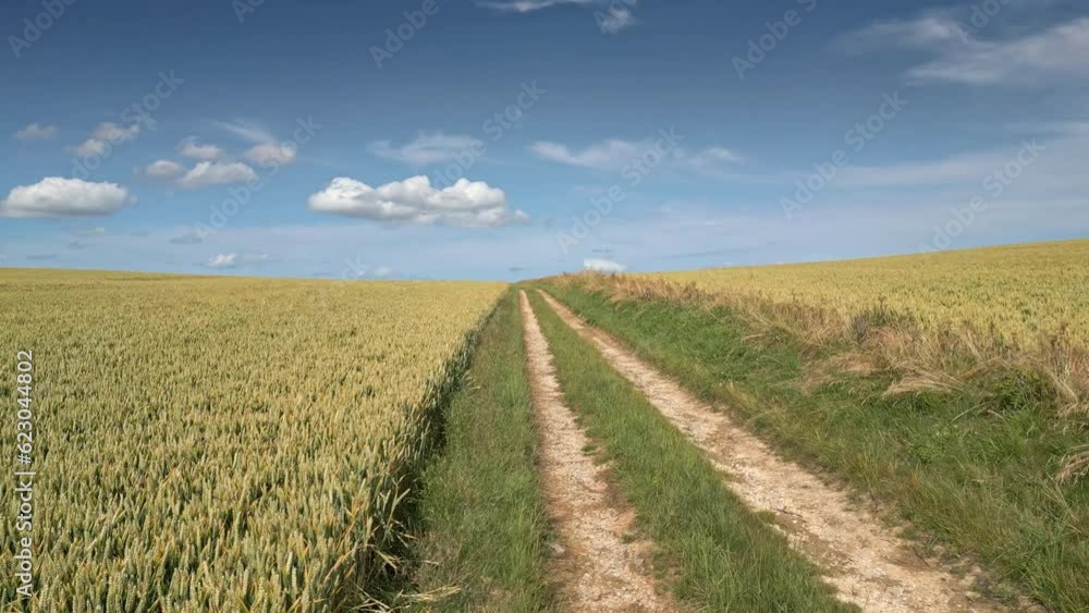 Aerial view of Lincolnshire farmland, summer crop of wheat and barley, country road. Aerial view of Lincolnshire farmland, summer crop of wheat and barley, country road.