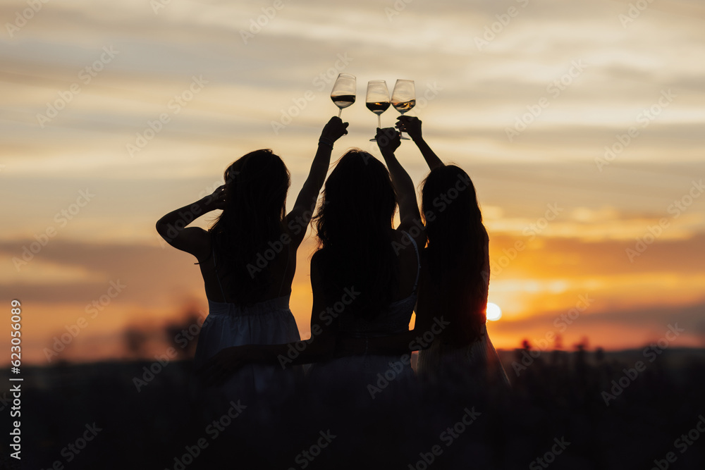 Silhouettes of women in the park in evening sunlight. The lights of a sun. The company of female friends enjoys a summer picnic and raise glasses with wine. Copy space.