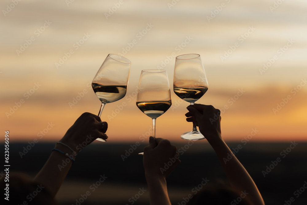 group of girlfriends raise a toast with glasses of white wine on a sunset. Close shot.