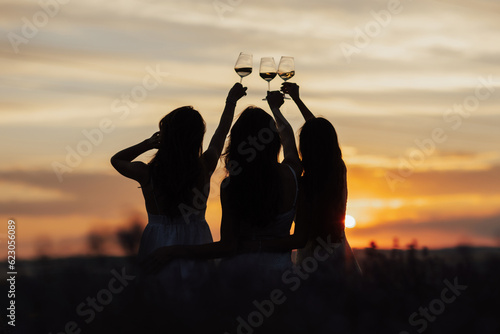 Obraz na płótnie Silhouettes of women in the park in evening sunlight. The lights of a sun. The company of female friends enjoys a summer picnic and raise glasses with wine. Copy space.
w salonie