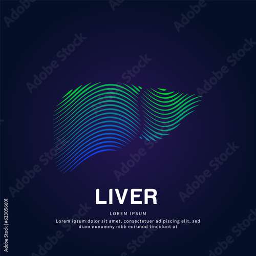 Human liver medical structure. Creative simple line art Vector logo liver color silhouette on a dark background - EPS 10