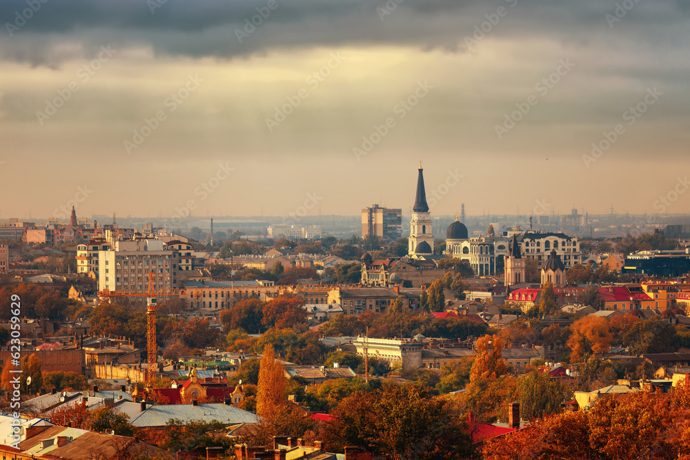 Autumn city and trees, from a bird's eye view