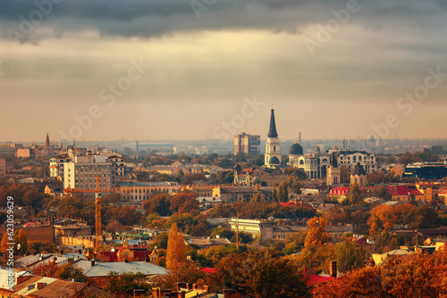 Autumn city and trees, from a bird's eye view